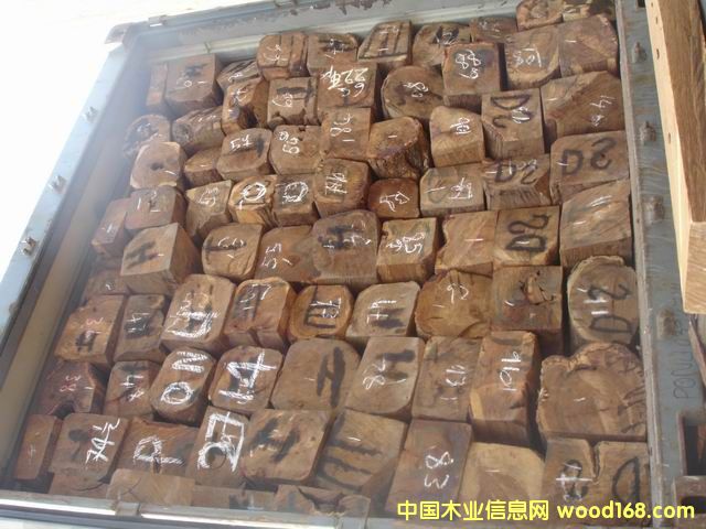 �׃�(n��i)��������