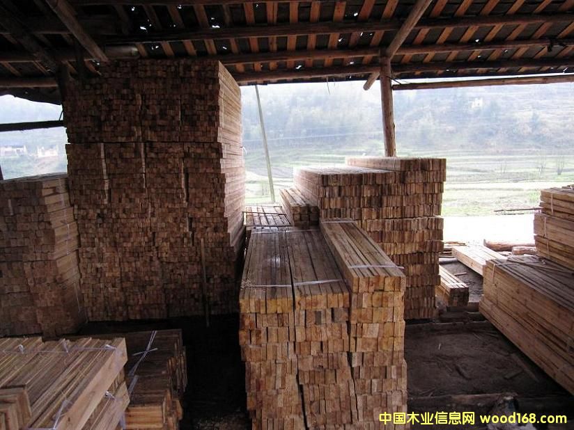 ľ����ľ�������