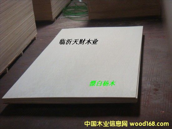 Ư�ח�ľ���Ӱ�1