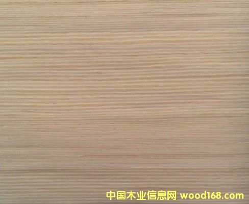 �����N�T(m��n)ľƤ