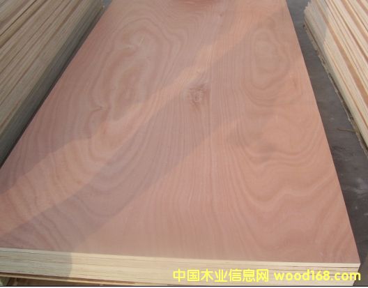 ɼľ��ľ����ɼľ