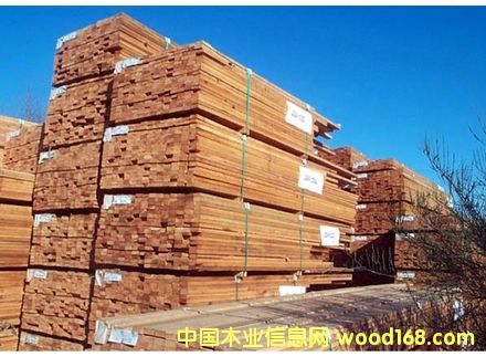 ���_˹������