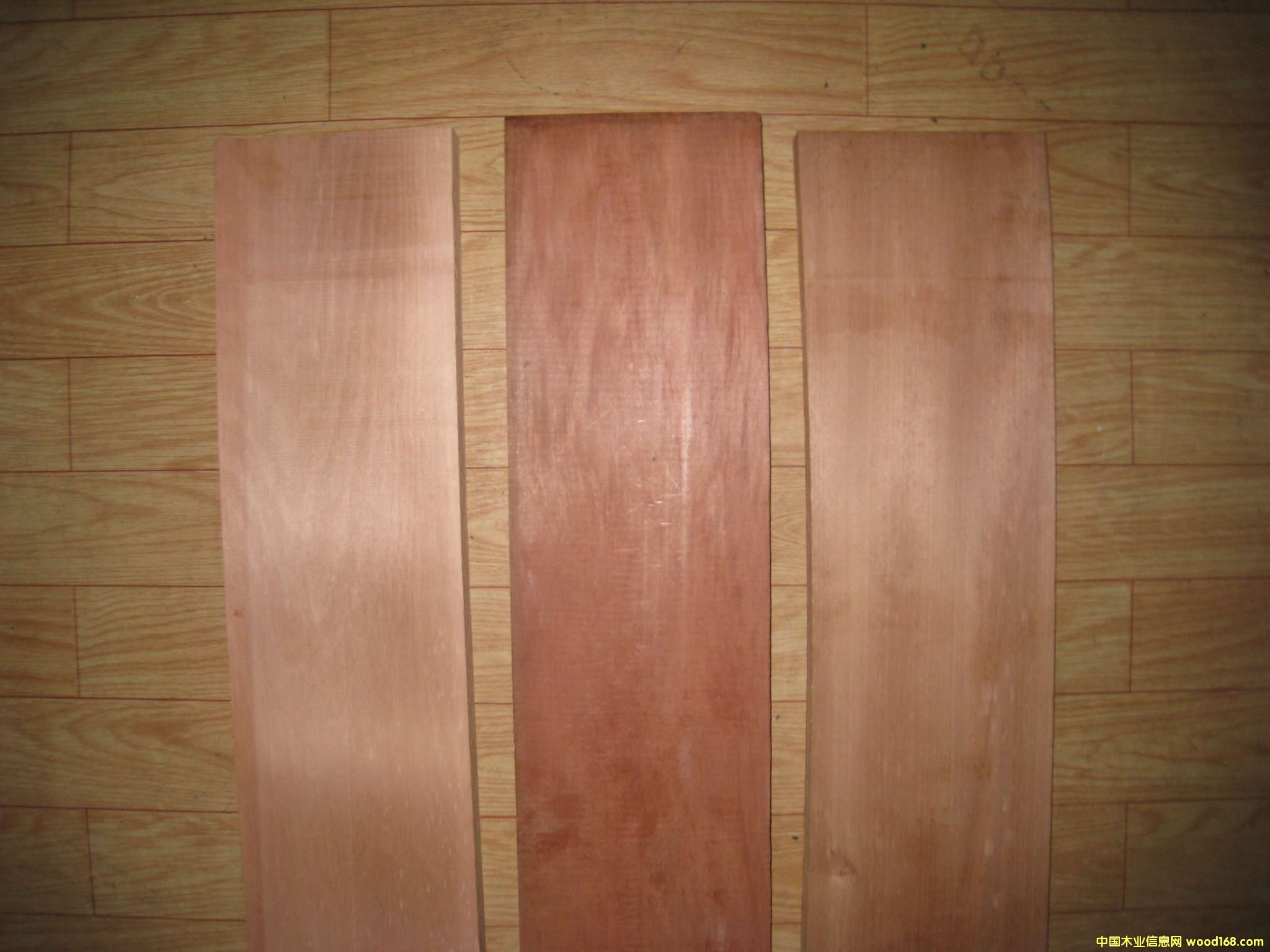 ������ľ�ذ�����