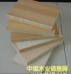 ����˹�����B(t��i)��