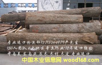 ľ���M(j��n)���Q(m��o)�״���