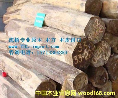 ԭľ�M(j��n)�ڈ�(b��o)�P(gu��n)����