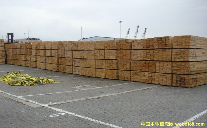 ���ô�WFP�Fɼ��Ԕ��(x��)��B