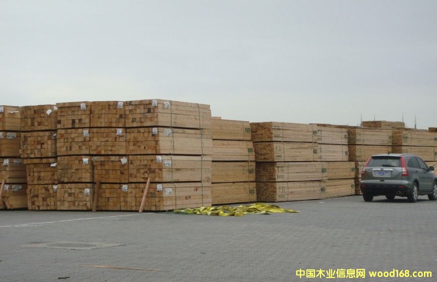 �M(j��n)���Fɼ