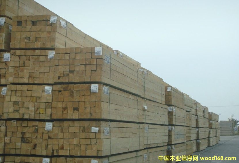 ��ľ���бP��ľ�|(zh��)���b�����x���M(j��n)��ľ�ĵ�Ԕ��(x��)��B