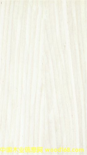 �҃�(n��i)�����T