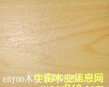 �@���(ch��ng)�،��õذ�