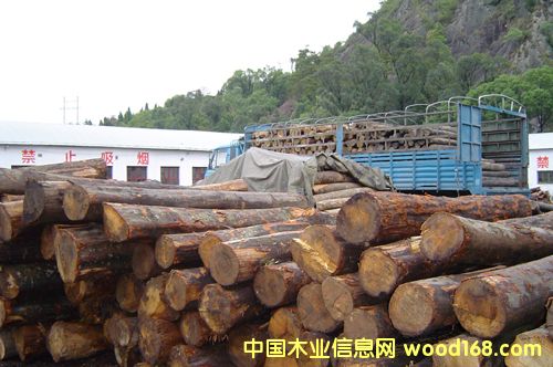 о���Ԕ����B