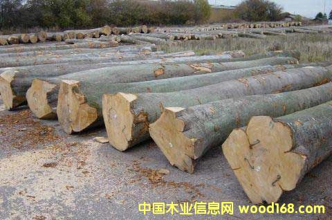 ľ��13��Ԕ����B