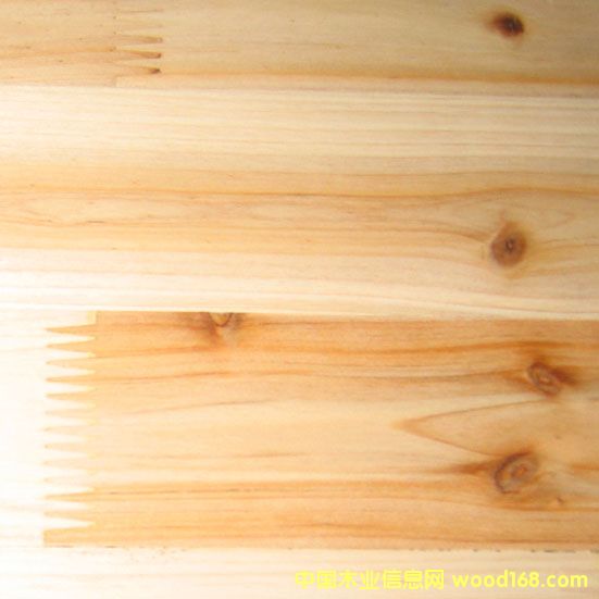 [��] ����ɼľ��,ɼľָ�Ӱ�,���ɲ�