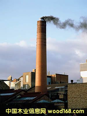 ����̽��������z��