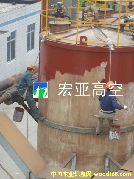 �F���������������