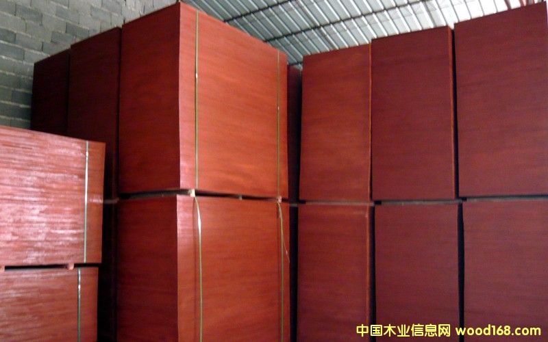 ��֬��ˮ����ģ��