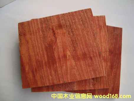 ��ľģ���Ԕ��(x��)��B