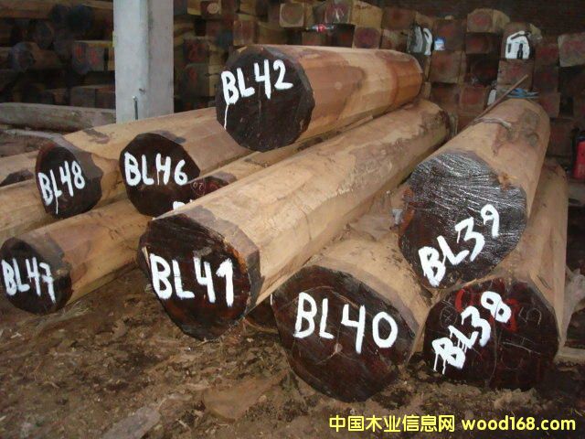 ͬ����ľTIPA��Ԕ��(x��)��B