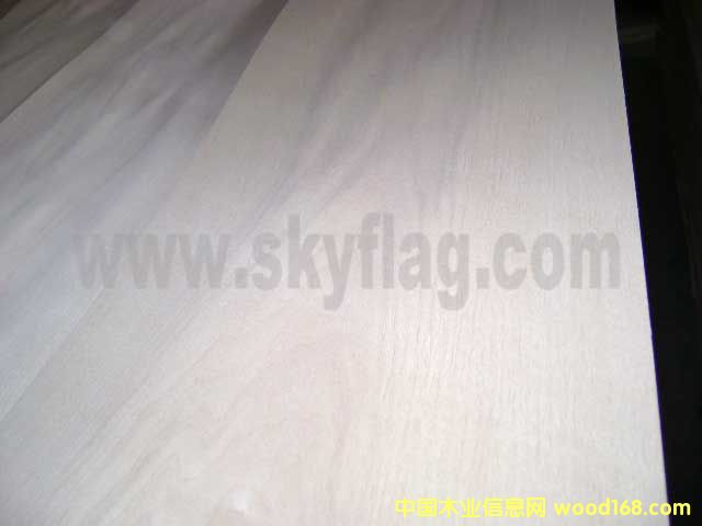 ����ľƤ-0.6�W��ɽ�y