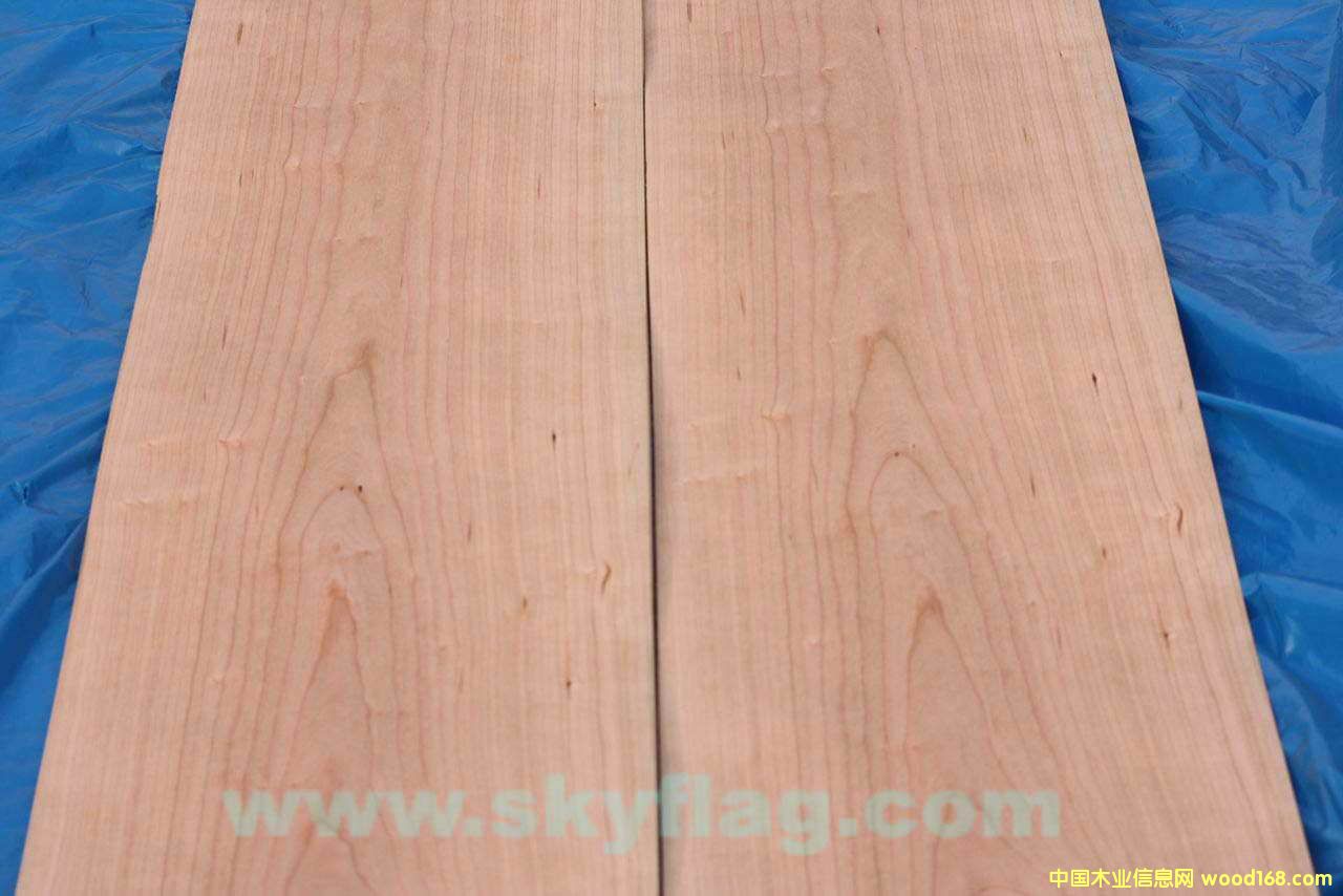 ����ľƤ-0.6����