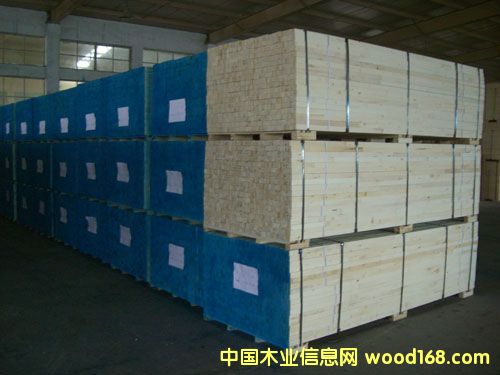 F���Ǘ�ľLVL