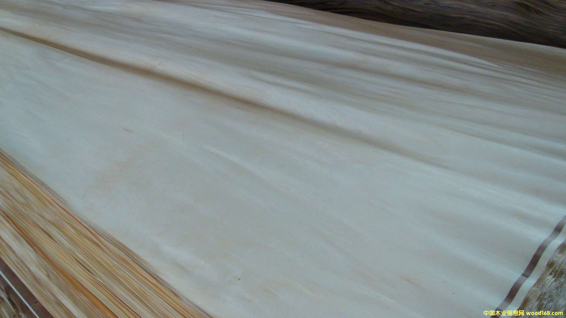 �ľľƤ��Ԕ����B