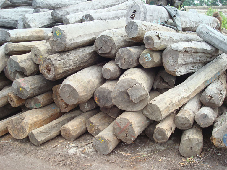 �R�_(d��)��˹���S̴2��Ԕ��(x��)��B