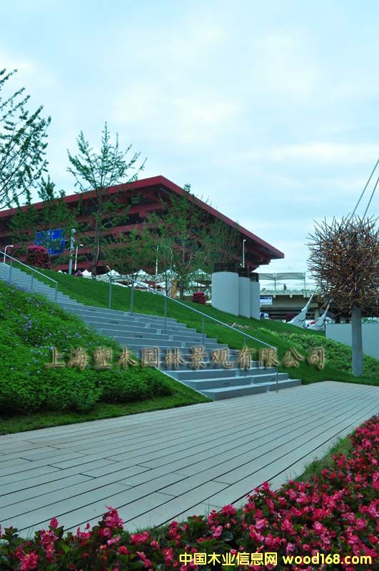 ������ľ�ذ�9��Ԕ����B