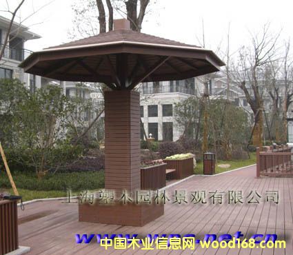 ��ľͤ�ӵ�Ԕ����B