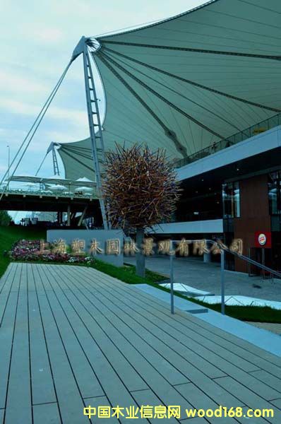 ������ľ�ذ�8��Ԕ����B