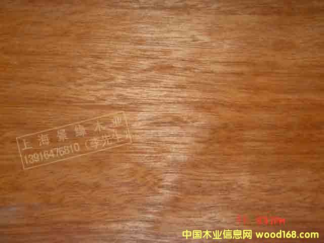 ��¡ľ��Ԕ��(x��)��B