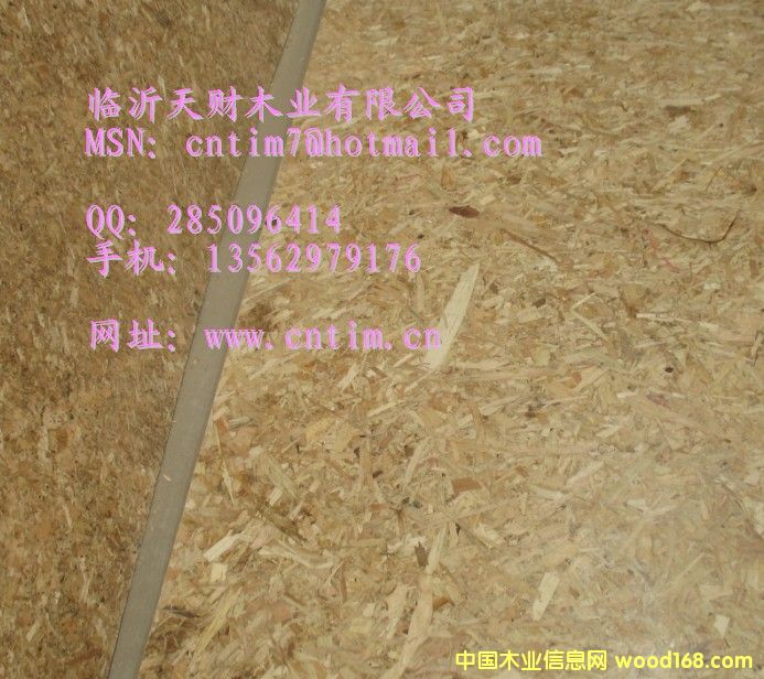 �����ٻ��� (li��n)ϵ�R����ؔ(c��i)ľ�I(y��)13562979176��Ԕ��(x��)��B