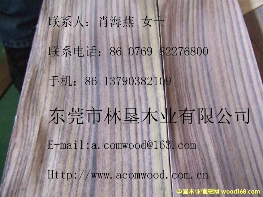 ��̴��Ԕ����B