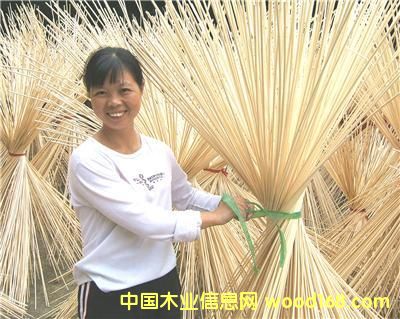 ������Ԕ����B