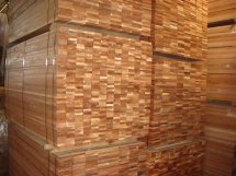 ����(y��ng)��(y��u)�|(zh��)�𲻓Q�ذ��Ԕ��(x��)��B