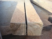 ����(y��ng)��(y��u)�|(zh��)�ϻ�ľ