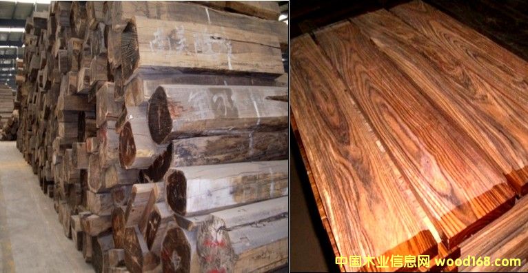 ܊���� �Fľ��