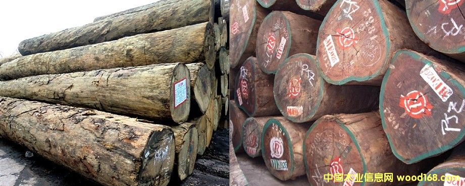 �͵� ����