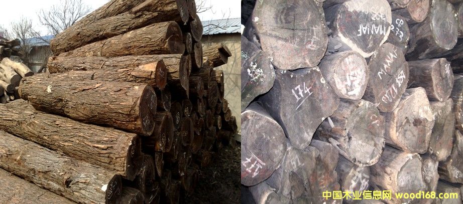 �t�F�� ���F��