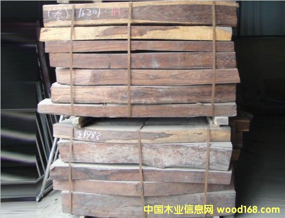 �t��֦���ϓ룩