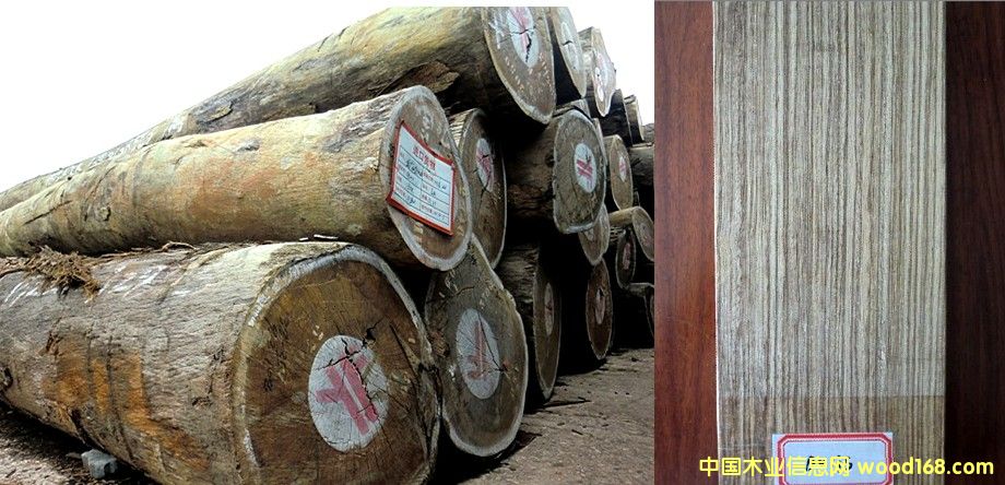 �t�Fľ С���R