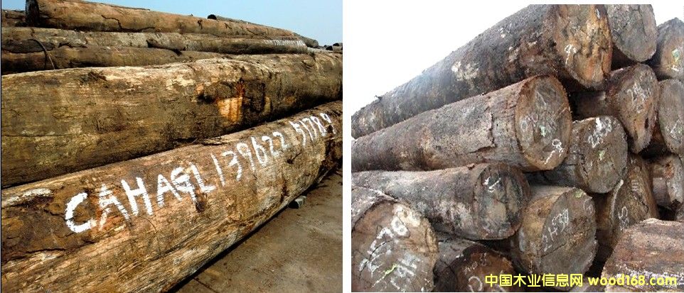 �����m ����