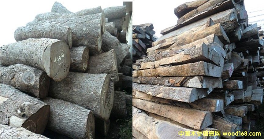 Ƥ�ң�����̴��