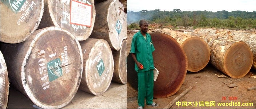 �G��ɣɳ����