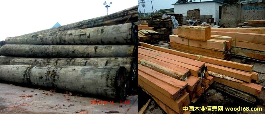 �t���� ���_��