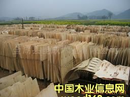 ��ľ�ΰ��Ԕ��(x��)��B