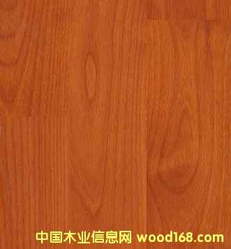 ����(y��ng)����Ҍ�ľ�ذ�