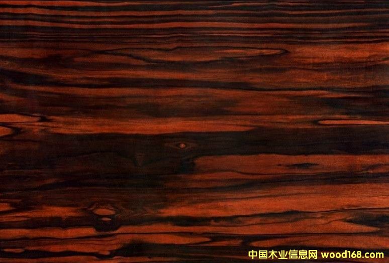 �{(l��n)ɫ�l(w��i)���������(y��ng)��(y��u)�|(zh��)��̴�ذ�