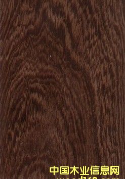 �{(l��n)ɫ�l(w��i)���������(y��ng)��(y��u)�|(zh��)�u��ľ�ذ����gӭ���ӆُ